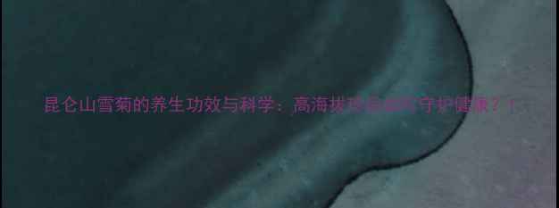 昆仑山雪菊的养生功效与科学高海拔珍品如何守护健康