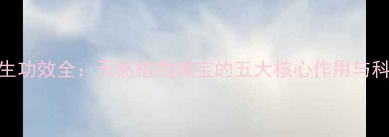 昆仑雪菊养生功效全天然植物瑰宝的五大核心作用与科学食用指南