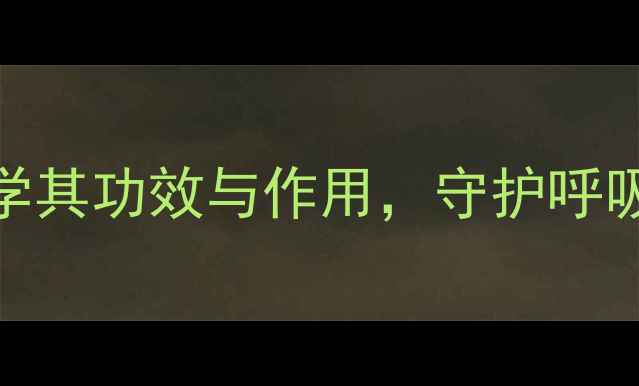 易坦静科学其功效与作用守护呼吸健康全攻略