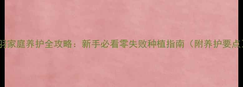 图片 春羽家庭养护全攻略：新手必看零失败种植指南（附养护要点）2