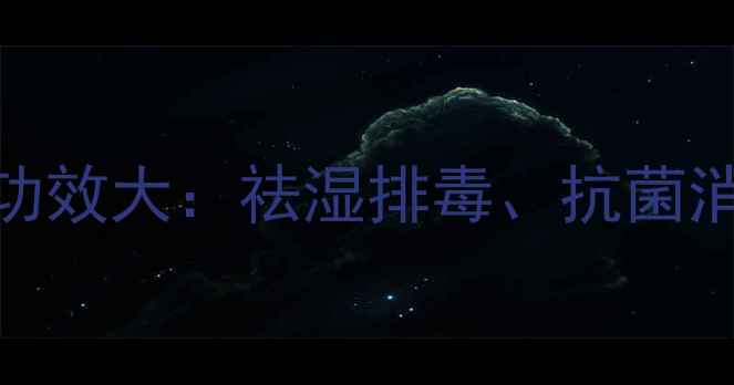 图片 晒不死草的养生功效大：祛湿排毒、抗菌消炎的天然草药全