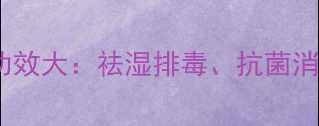 晒不死草的养生功效大祛湿排毒抗菌消炎的天然草药全