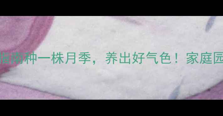 月季种子种植养生指南种一株月季养出好气色家庭园艺自然疗法全攻略