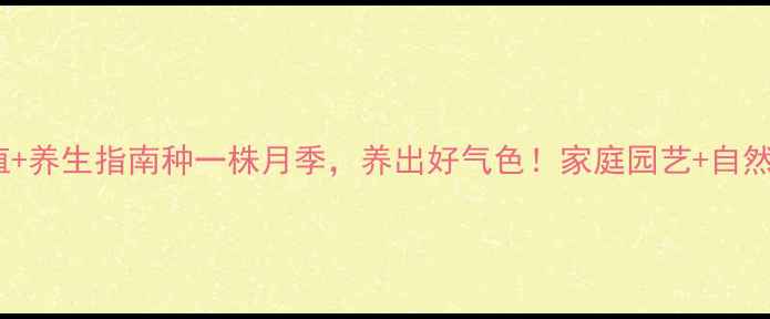 图片 月季种子种植+养生指南种一株月季，养出好气色！家庭园艺+自然疗法全攻略1
