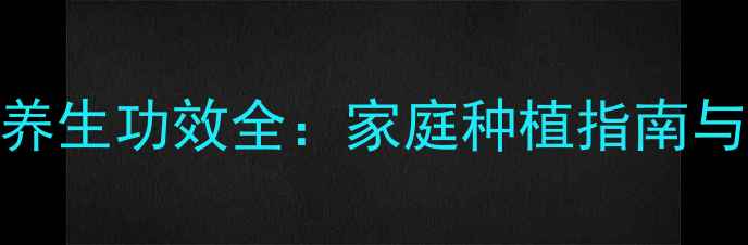 图片 月季种子繁殖+养生功效全：家庭种植指南与药用价值科普2