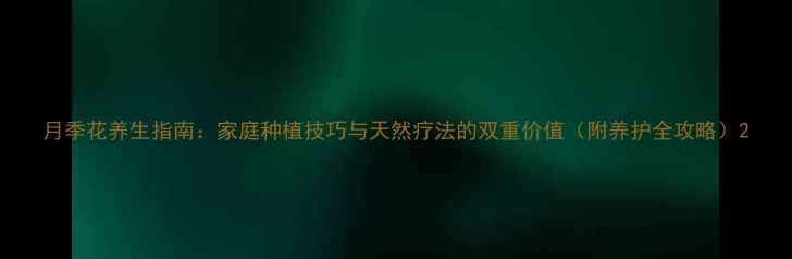 图片 月季花养生指南：家庭种植技巧与天然疗法的双重价值（附养护全攻略）2