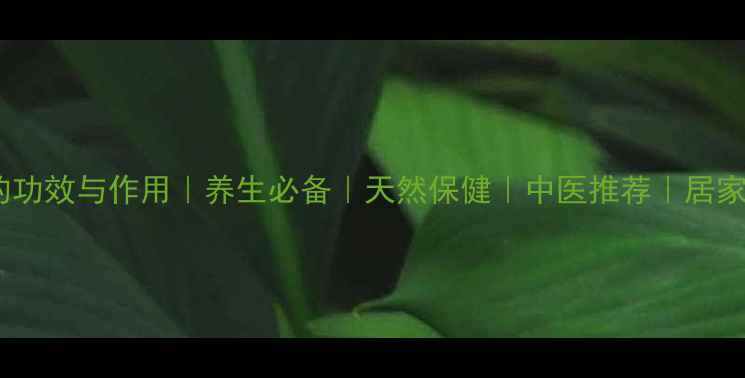 图片 木香泡酒的功效与作用｜养生必备｜天然保健｜中医推荐｜居家制作指南2