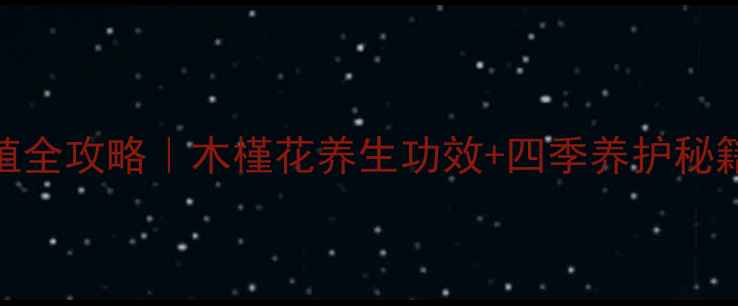 图片 朱槿牡丹家庭养殖全攻略｜木槿花养生功效+四季养护秘籍（附修剪图解）