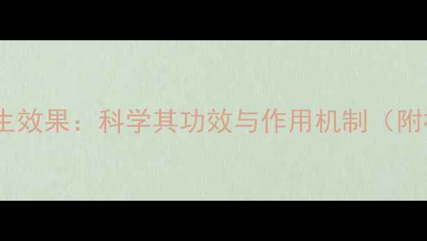 权健磁疗内衣养生效果科学其功效与作用机制附权威检测报告
