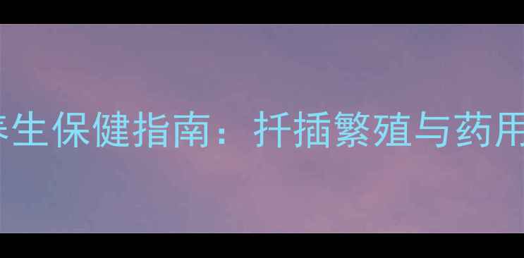 杜鹃花养生保健指南扦插繁殖与药用价值全