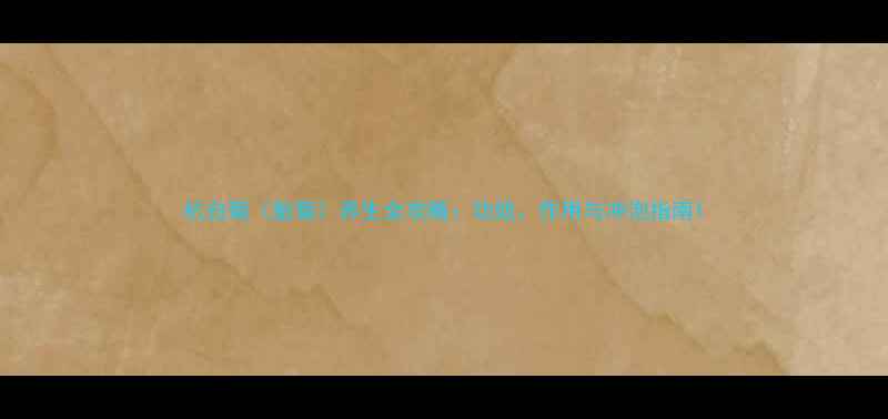 杭白菊胎菊养生全攻略功效作用与冲泡指南