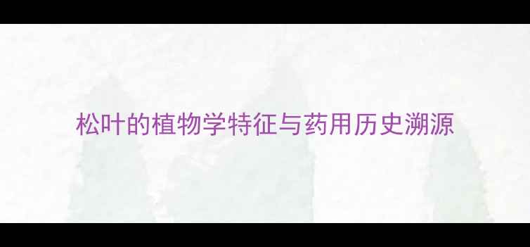 图片 松叶的植物学特征与药用历史溯源