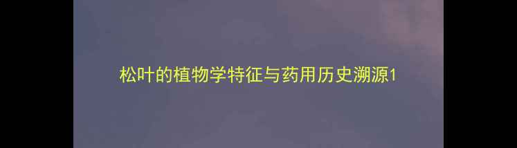 松叶的植物学特征与药用历史溯源