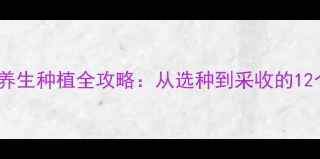 图片 板蓝根家庭养生种植全攻略：从选种到采收的12个关键步骤1