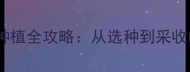 板蓝根家庭养生种植全攻略从选种到采收的12个关键步骤