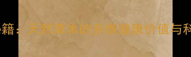 枣树皮养生秘籍天然草本的多维健康价值与科学应用指南