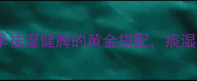 枳实白术荷叶汤夏季祛湿健脾的黄金搭配痰湿体质必喝的养生秘方
