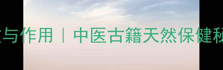 图片 枸骨的10大养生功效与作用｜中医古籍天然保健秘籍｜适合全年龄段1
