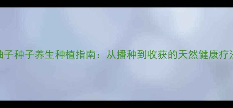 图片 柚子种子养生种植指南：从播种到收获的天然健康疗法