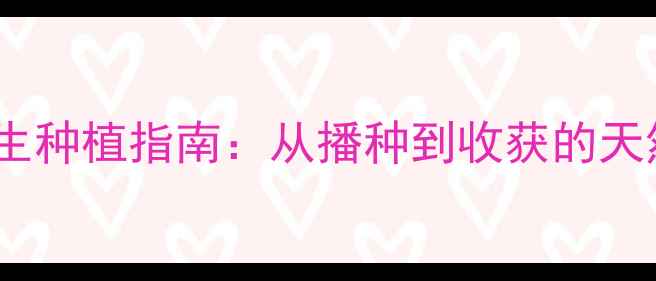 图片 柚子种子养生种植指南：从播种到收获的天然健康疗法1