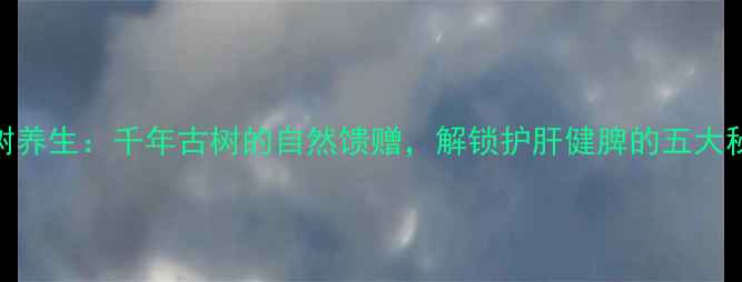 柳树养生千年古树的自然馈赠解锁护肝健脾的五大秘方