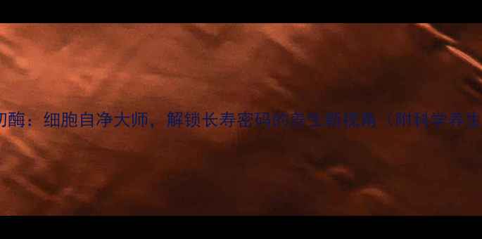 核酸外切酶细胞自净大师解锁长寿密码的养生新视角附科学养生指南