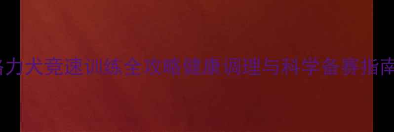 格力犬竞速训练全攻略健康调理与科学备赛指南