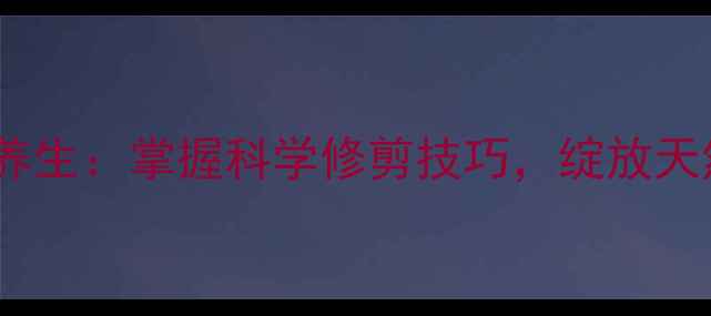 桂花修剪与养生掌握科学修剪技巧绽放天然健康花香