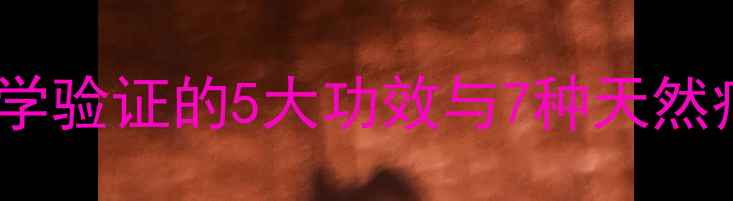 梨树叶养生秘籍科学验证的5大功效与7种天然疗法附使用指南