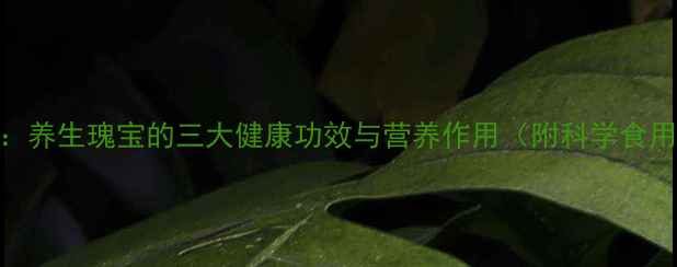 棉籽油养生瑰宝的三大健康功效与营养作用附科学食用指南