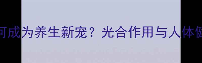 植物生长灯如何成为养生新宠光合作用与人体健康的科学关联