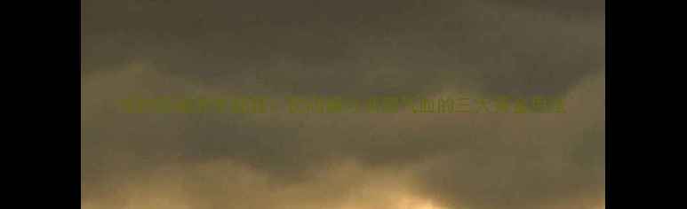 图片 榕树须根养生秘籍：民间偏方调理气血的三大黄金用法