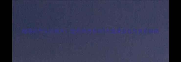 榴莲的养生功效大营养师推荐的5大健康益处与食用指南