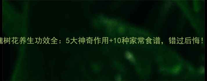 槐树花养生功效全5大神奇作用10种家常食谱错过后悔