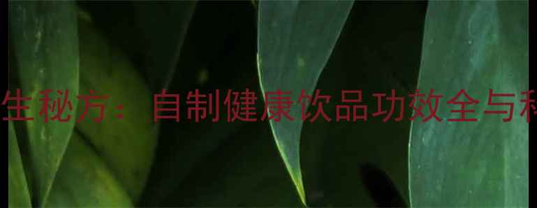 樱桃酒养生秘方自制健康饮品功效全与科学指南