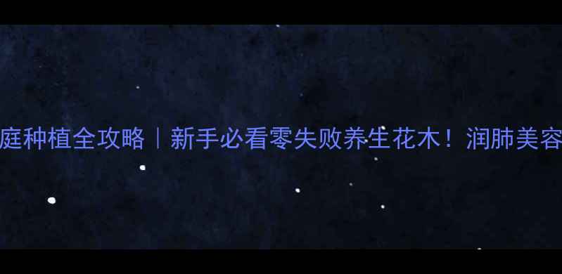欧石楠家庭种植全攻略新手必看零失败养生花木润肺美容两不误
