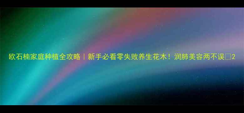 图片 欧石楠家庭种植全攻略｜新手必看零失败养生花木！润肺美容两不误🌿2
