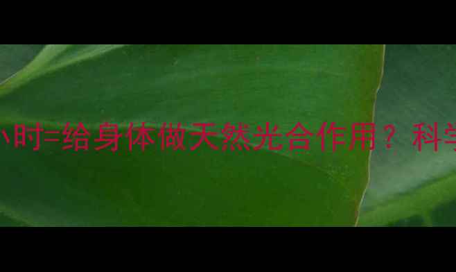 图片 每天晒太阳2小时=给身体做天然光合作用？科学养生新方式1