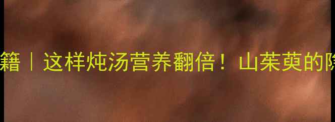 图片 毕拨炖肉养生秘籍｜这样炖汤营养翻倍！山茱萸的隐藏功效大公开2