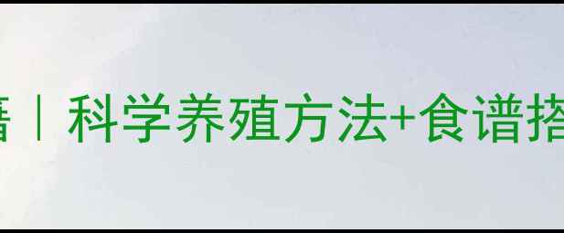 气血双补百万心养生秘籍科学养殖方法食谱搭配安神助眠效果翻倍