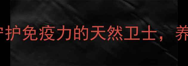 氟苯尼考注射液守护免疫力的天然卫士养生达人的必备指南