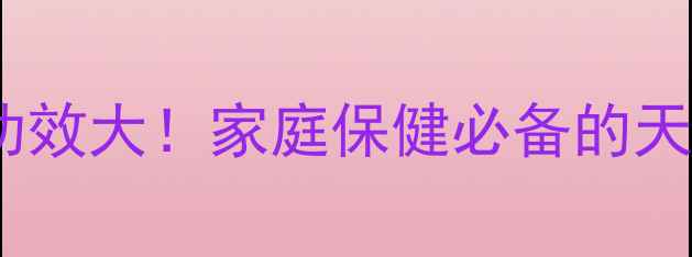 水培月季的养生功效大家庭保健必备的天然氧吧养护指南