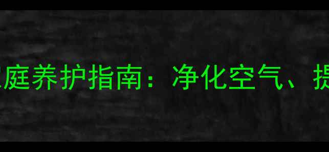 水培蝴蝶兰的养生功效与家庭养护指南净化空气提升运势健康家居全攻略