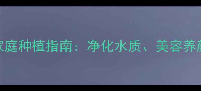 图片 水草养殖的养生功效与家庭种植指南：净化水质、美容养颜、招财纳福的天然方案