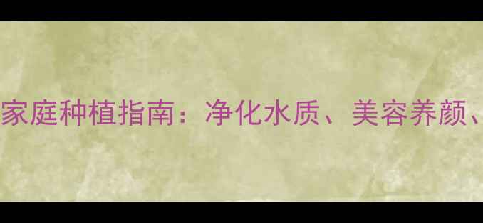 水草养殖的养生功效与家庭种植指南净化水质美容养颜招财纳福的天然方案