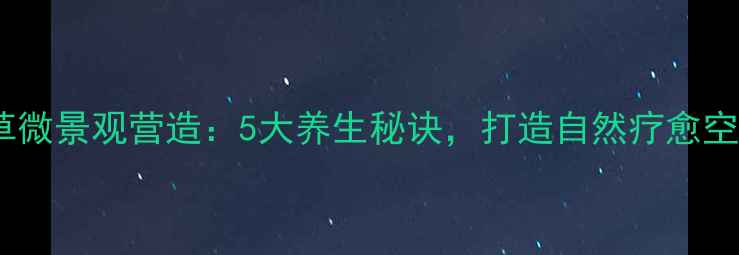 水草微景观营造5大养生秘诀打造自然疗愈空间