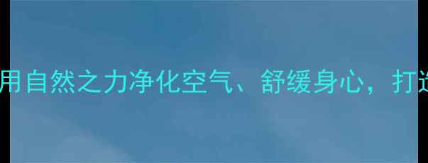 图片 水草种植养生日记：用自然之力净化空气、舒缓身心，打造健康家居环境指南2
