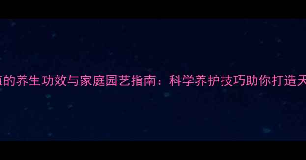 水草种植的养生功效与家庭园艺指南科学养护技巧助你打造天然氧吧