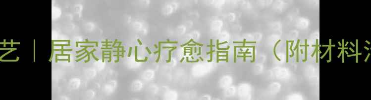 永生花DIY养生花艺居家静心疗愈指南附材料清单步骤详解