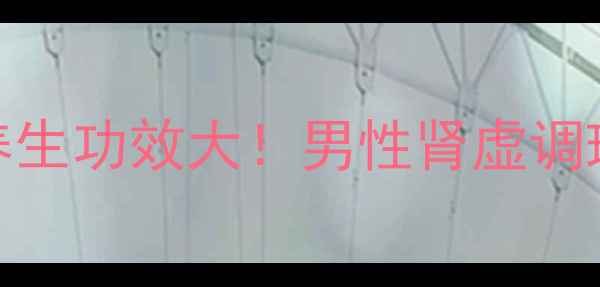 图片 汇仁肾宝养生功效大！男性肾虚调理必看指南